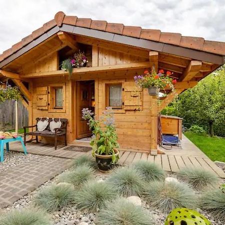 Le Chalet Des 3 Ours Neuvecelle Екстер'єр фото