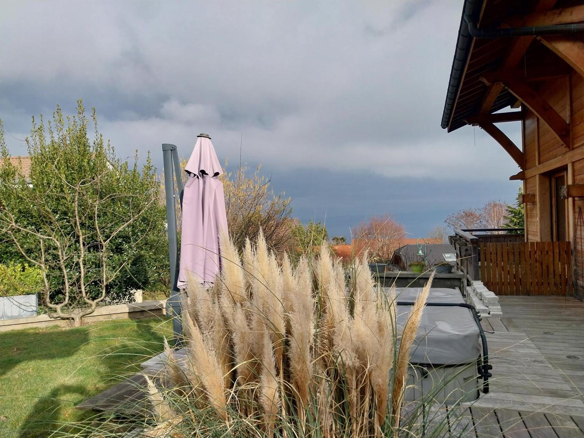 Le Chalet Des 3 Ours Neuvecelle Екстер'єр фото