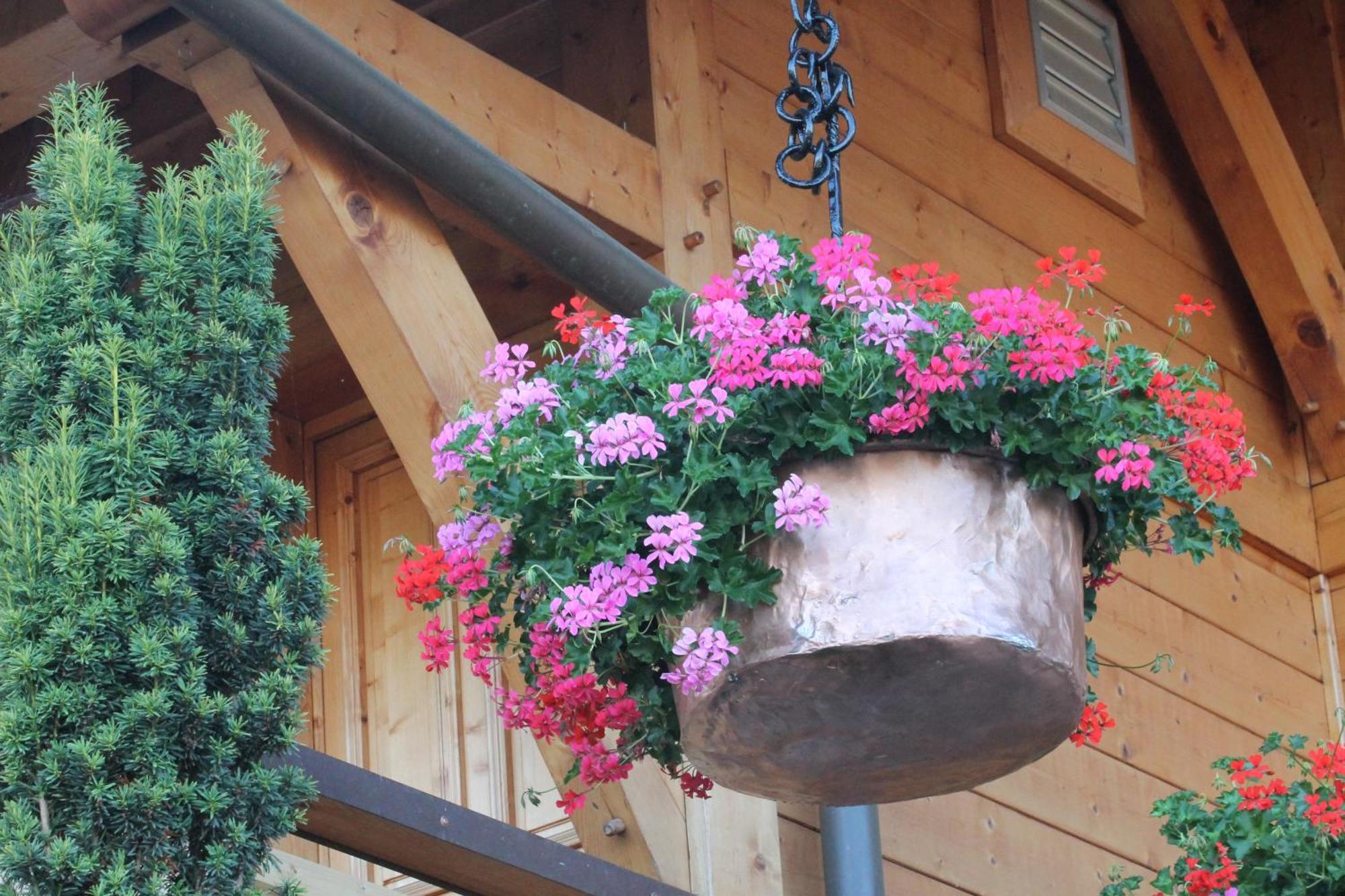 Le Chalet Des 3 Ours Neuvecelle Екстер'єр фото
